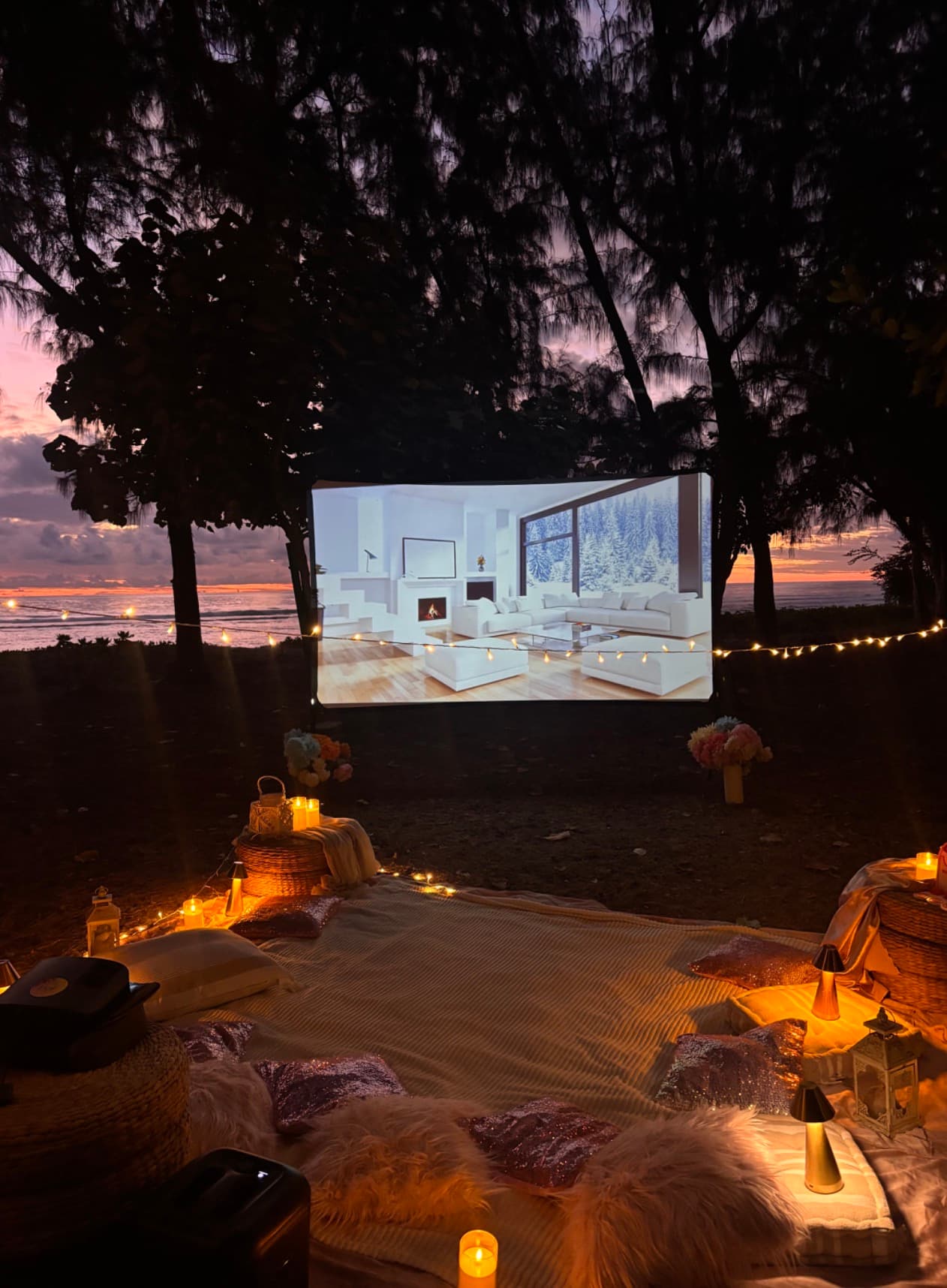 Écran de cinéma + Vidéoprojecteur 4K